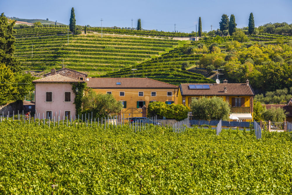 Ca’ Bernai from the front vineyard.