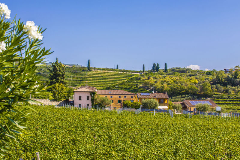 View of the B&B from the nearby road.